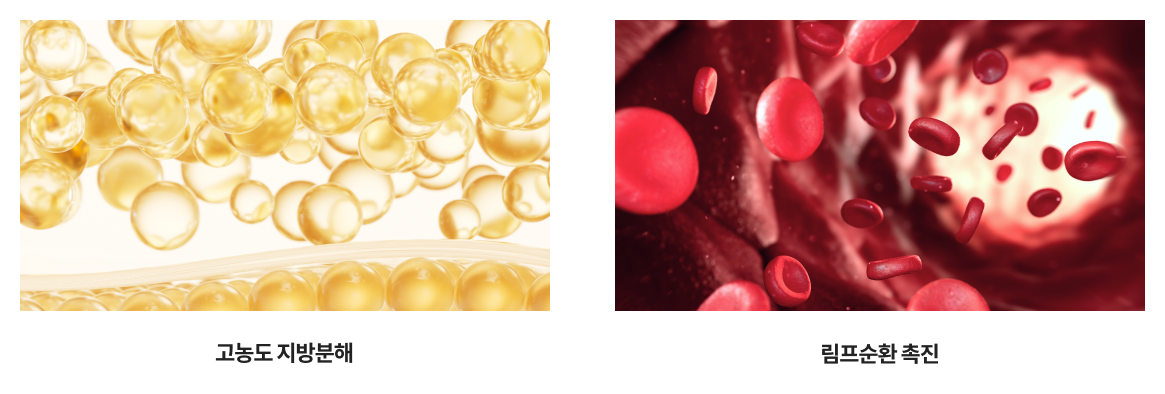 리엔장 윤곽주사 시술 구성도 - 지방분해와 림프순환 설명